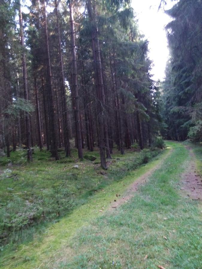 Sonnenhof * Litschau